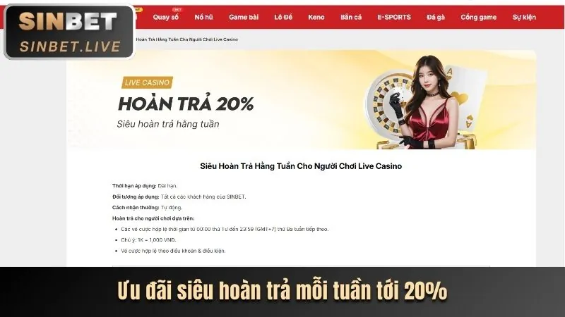 Phân tích khuyến mãi VN88UP