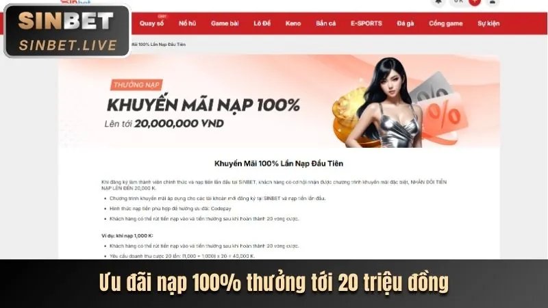 Các Chương Trình Khuyến Mãi Hấp Dẫn